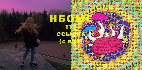 PSILOCYBIN Волосово