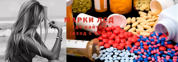 PSILOCYBIN Волосово