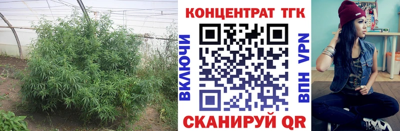 ТГК концентрат  Южно-Сахалинск 